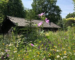 Unterkunft 300802 - Ferienhaus Gelderse vallei - Huisje in Empe