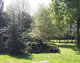 Unterkunft 300802 - Ferienhaus Gelderse vallei - Huisje in Empe