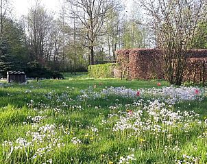 Unterkunft 300802 - Ferienhaus Gelderse vallei - Huisje in Empe
