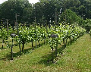 Unterkunft 300804 - Ferienhaus Gelderse vallei - Huisje in Empe