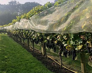 Unterkunft 300804 - Ferienhaus Gelderse vallei - Huisje in Empe