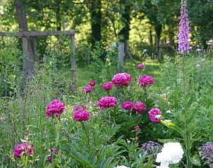 Unterkunft 300804 - Ferienhaus Gelderse vallei - Huisje in Empe