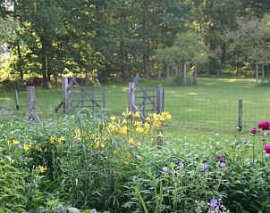 Unterkunft 300804 - Ferienhaus Gelderse vallei - Huisje in Empe