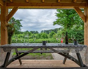 Unterkunft 300805 - Ferienhaus Gelderse vallei - Vakantiehuis in Empe
