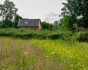 Unterkunft 300805 - Ferienhaus Gelderse vallei - Vakantiehuis in Empe