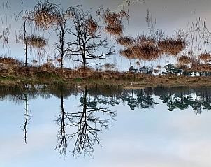 Unterkunft 300805 - Ferienhaus Gelderse vallei - Vakantiehuis in Empe