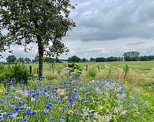 Unterkunft 300806 - Ferienhaus Gelderse vallei - Huisje in Empe