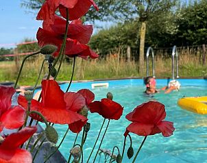 Unterkunft 300806 - Ferienhaus Gelderse vallei - Huisje in Empe