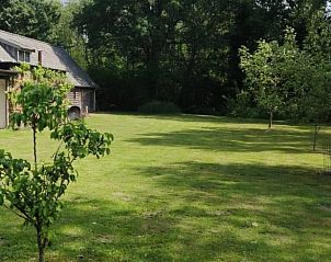 Unterkunft 300807 • Ferienhaus Gelderse vallei • Vakantiehuis in Empe 