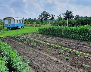 Unterkunft 300809 - Ferienhaus Gelderse vallei - Vakantiehuis in Empe