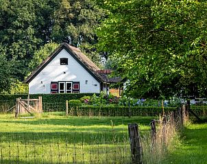 Unterkunft 300813 - Ferienhaus Gelderse vallei - Vakantiehuis in Empe