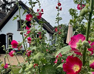 Unterkunft 300813 - Ferienhaus Gelderse vallei - Vakantiehuis in Empe