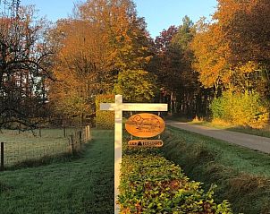 Unterkunft 300813 - Ferienhaus Gelderse vallei - Vakantiehuis in Empe