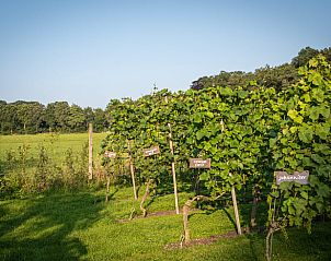 Unterkunft 300813 - Ferienhaus Gelderse vallei - Vakantiehuis in Empe