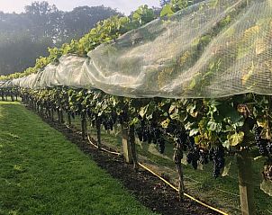 Unterkunft 300813 - Ferienhaus Gelderse vallei - Vakantiehuis in Empe