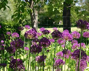 Unterkunft 300813 - Ferienhaus Gelderse vallei - Vakantiehuis in Empe