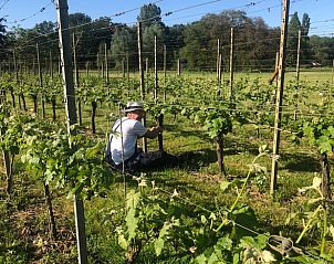 Unterkunft 300813 - Ferienhaus Gelderse vallei - Vakantiehuis in Empe