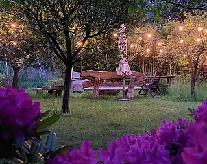 Sfeervol verlicht terras bij Huisje in Tonden, vakantiehuis in de Gelderse vallei, omringd door natuur en kleurrijke bloemen.