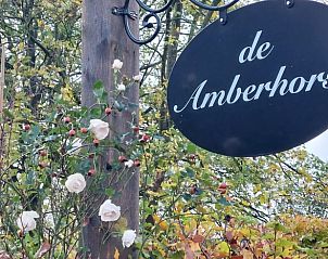 Verblijf 300917 - Vakantiewoning Gelderse vallei - Huisje in Tonden