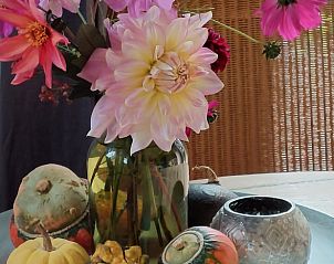 Verblijf 300917 - Vakantiewoning Gelderse vallei - Huisje in Tonden