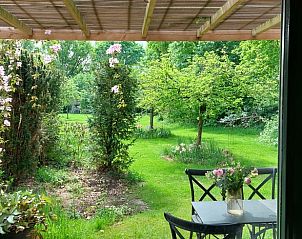 Verblijf 300917 - Vakantiewoning Gelderse vallei - Huisje in Tonden