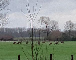 Unterkunft 301201 - Ferienhaus Gelderse vallei - Huisje in Voorstonden Gem. Brummen