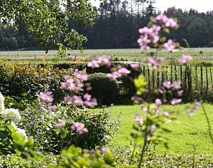 Unterkunft 301201 - Ferienhaus Gelderse vallei - Huisje in Voorstonden Gem. Brummen