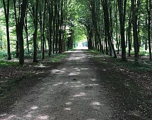 Unterkunft 301201 - Ferienhaus Gelderse vallei - Huisje in Voorstonden Gem. Brummen