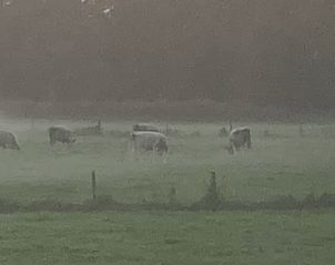 Unterkunft 301201 - Ferienhaus Gelderse vallei - Huisje in Voorstonden Gem. Brummen