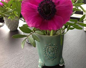 Guest house 304108 - Bed and Breakfast Hart van Brabant - B&B Winterresidentie