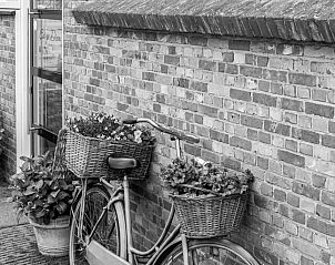 Guest house 306302 - Bed and Breakfast Zeeuws-Vlaanderen - B&B Carpe Diem