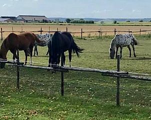 Unterkunft 310105 - Ferienhaus Montferland - Huisje in Netterden