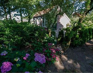 Guest house 310106 - Holiday property Montferland - DG473