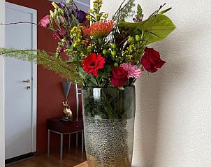 Unterkunft 316002 - Appartement Schouwen-Duiveland - Appartement de Gouw