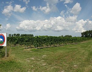 Unterkunft 316002 - Appartement Schouwen-Duiveland - Appartement de Gouw