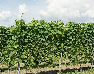 Unterkunft 316002 - Appartement Schouwen-Duiveland - Appartement de Gouw