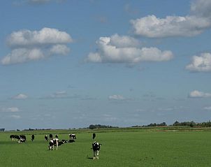 Unterkunft 316002 - Appartement Schouwen-Duiveland - Appartement de Gouw