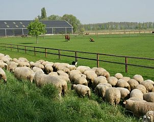 Unterkunft 316002 - Appartement Schouwen-Duiveland - Appartement de Gouw