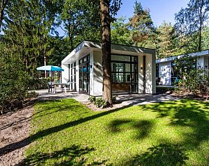 Modul-Spezial 4-Personen-Ferienhaus in Beekbergen, Veluwe, Gelderland, mit sonniger Terrasse und umgeben von grner Natur.