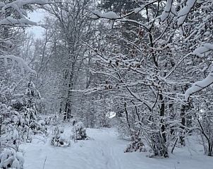Unterkunft 3201113 - Chalet Veluwe - Vakantiehuisje in Beekbergen