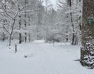 Unterkunft 3201113 - Chalet Veluwe - Vakantiehuisje in Beekbergen