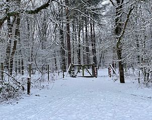Unterkunft 3201113 - Chalet Veluwe - Vakantiehuisje in Beekbergen