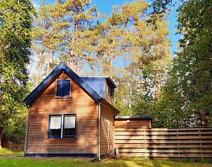 Ferienhaus in Beekbergen an der Veluwe, umgeben von hohen Bumen und Natur, ideal fr einen ruhigen Urlaub.