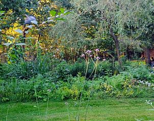 Verblijf 3201154 - Vakantiewoning Veluwe - Huisje in Beekbergen