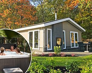 Leijhoeve 6 persons Wellness in Beekbergen with terrace and hot tub surrounded by nature on the Veluwe in Gelderland.