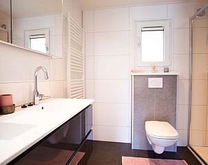 Stylish bathroom in Leijhoeve 6 persons Wellness, Beekbergen, Veluwe, with modern facilities and spacious shower.