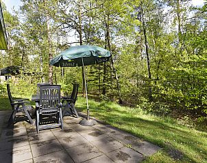 Unterkunft 3201187 - Bungalow Veluwe - Heideheuvel | 4-persoons bungalow | 4C2