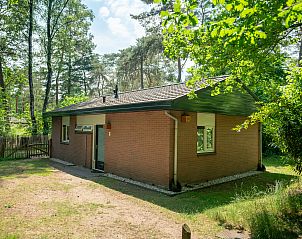 Verblijf 3201189 - Bungalow Veluwe - Heideheuvel | 6-persoons hondenbungalow | 6CD