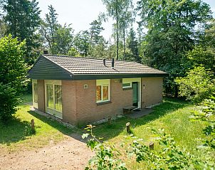 Unterkunft 3201193 - Bungalow Veluwe - Heideheuvel | 6-persoons bungalow | 6CE
