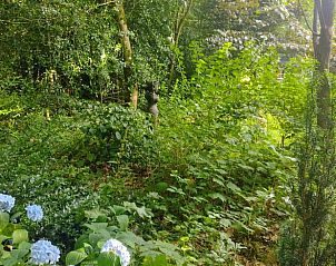 Verblijf 3201200 - Vakantiewoning Veluwe - Huisje in Beekbergen